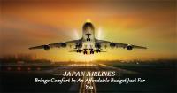Japan Airlines Flights image 2