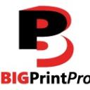 Big Print Pro logo