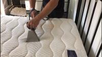 Neo Carpet Cleaning image 6