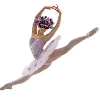 Seiskaya Ballet image 2