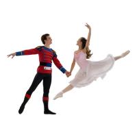 Seiskaya Ballet image 1