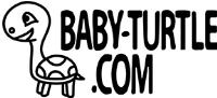 Baby Turtle image 1
