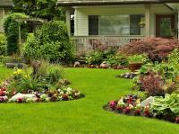 NLL Lawn & Landscaping image 5