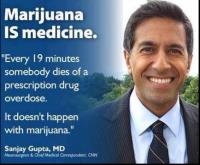 Express Medical Marijuana Clinic image 6