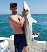 ALL IN Fishing Charters image 1
