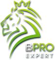 BPRO EXPERT logo
