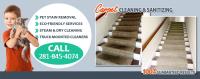 Alvin Carpet Cleaning TX image 1