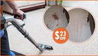 Seabrook Carpet Cleaning image 1