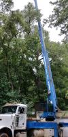 Tip Top Tree Service of Edmond image 5