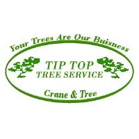 Tip Top Tree Service of Edmond image 1