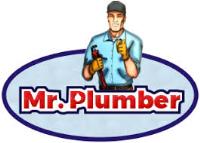 Mr.Plumber image 7