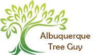 Albuquerque Tree Guy image 1