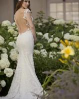 Wedding Photographer Philadelphia image 4
