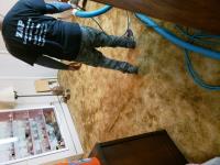 DAG Carpet Cleaning image 2