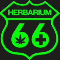 Herbarium 66 image 4