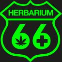 Herbarium 66 logo