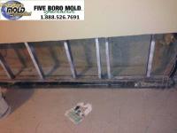 Five Boro Mold Specialist image 2