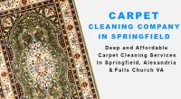 Shiny Carpet Cleaning image 2