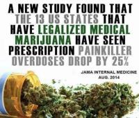 High Life Medical Marijuana Center image 11