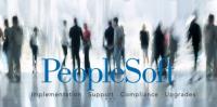 Meyer - PeopleSoft ERP Consulting & Support image 4