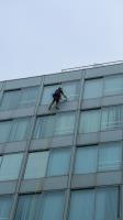 Window Cleaning in KC - Kansas City image 5