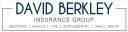 David Berkley Insurance Group logo