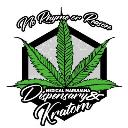 No Rhyme or Reason Kratom Shoppe & CBD OKC KRATOM logo