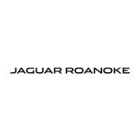 Jaguar Roanoke image 1