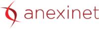 Anexinet Corporation image 1