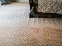Sunbird Carpet Cleaning The Woodlands image 1
