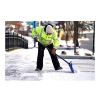 Farina Snow Removal Service image 1