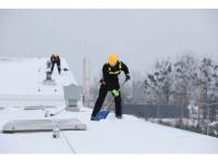 Farina Snow Removal Service image 2