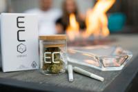 Eco Cannabis image 2