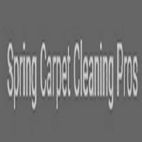 Spring Carpet Cleaning Pros image 1