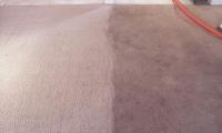 Rapid Carpet Cleaning Ventura image 3