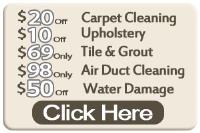 Carpet Cleaning Dallas TX image 2