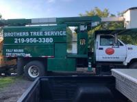 Brothers Tree Service image 2