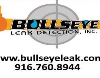 Bullseye Leak Detection, Inc. image 1
