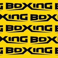 Boxing Incorporated image 1