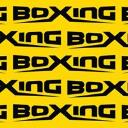 Boxing Incorporated logo