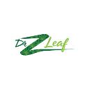 Dr Z Leaf logo