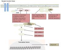 protein expression profiling image 1