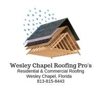 Wesley Chapel Roofing Pro's image 1