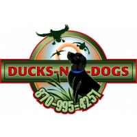 Ducks n Dogs image 1