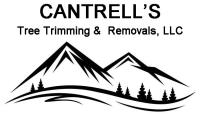 Cantrell's Tree Trimming & Removal LLC image 1