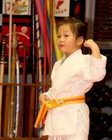 Texas Tang Soo Do image 2