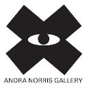 Andra Norris Gallery logo