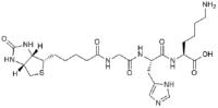 Biotinoyl tripeptide-1 image 1