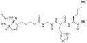 Biotinoyl tripeptide-1 logo