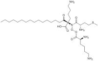 Palmitoyl Tripeptide-38 image 1